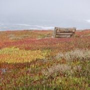 156F5693-97C1-467D-B7F0-F5EB5C8A69DA_1_201_a